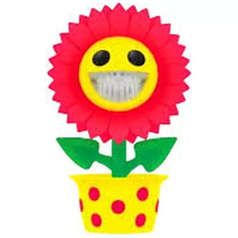 Growing Grin Sunflower