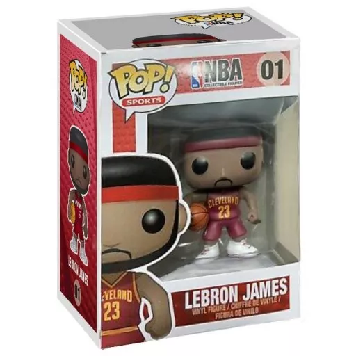 LeBron James Box