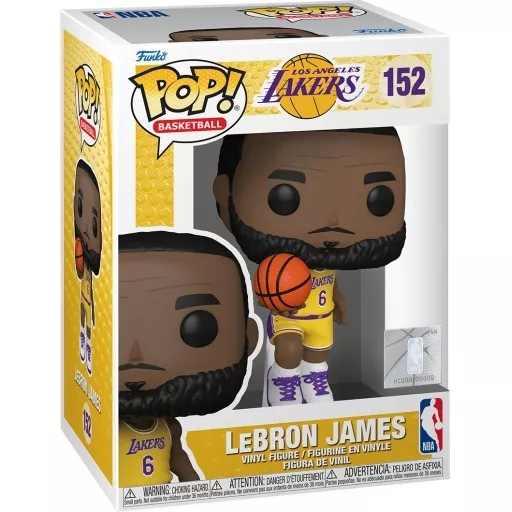 LeBron James Box