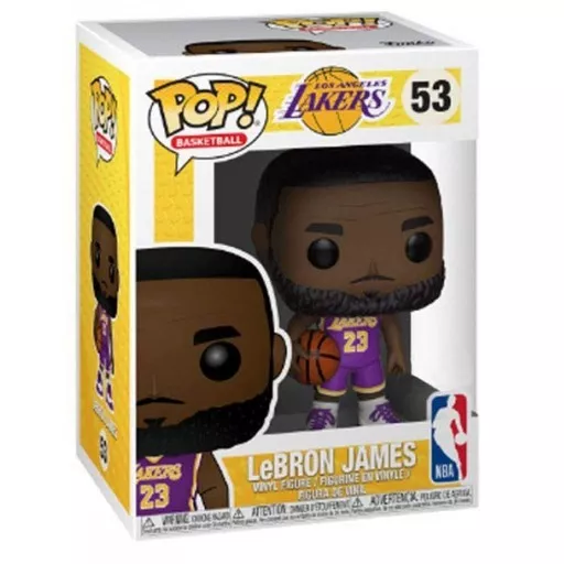 LeBron James Box