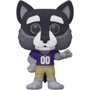 Harry the Husky image