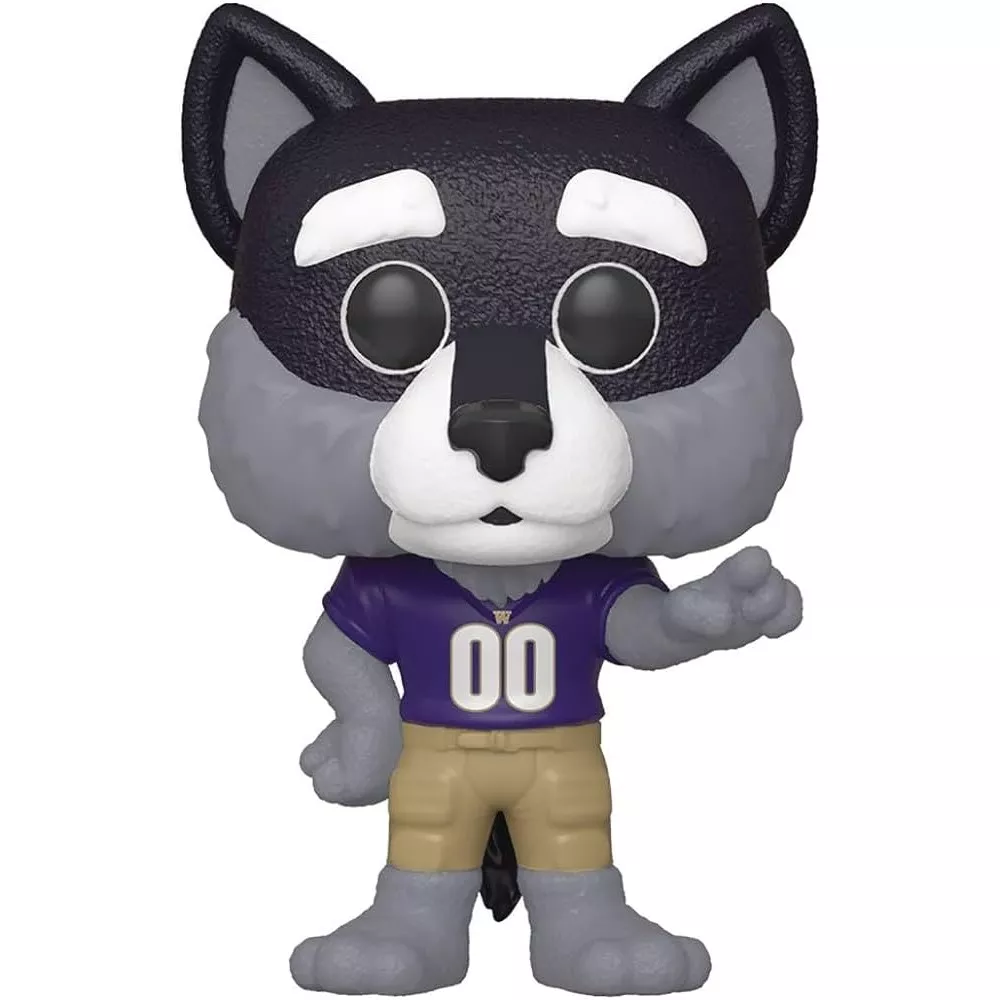 Harry the Husky