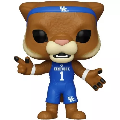 Wildcat