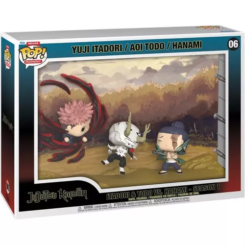 Funko Pop! Itadori & Todo vs. Hanami - Season 1 #06 Box
