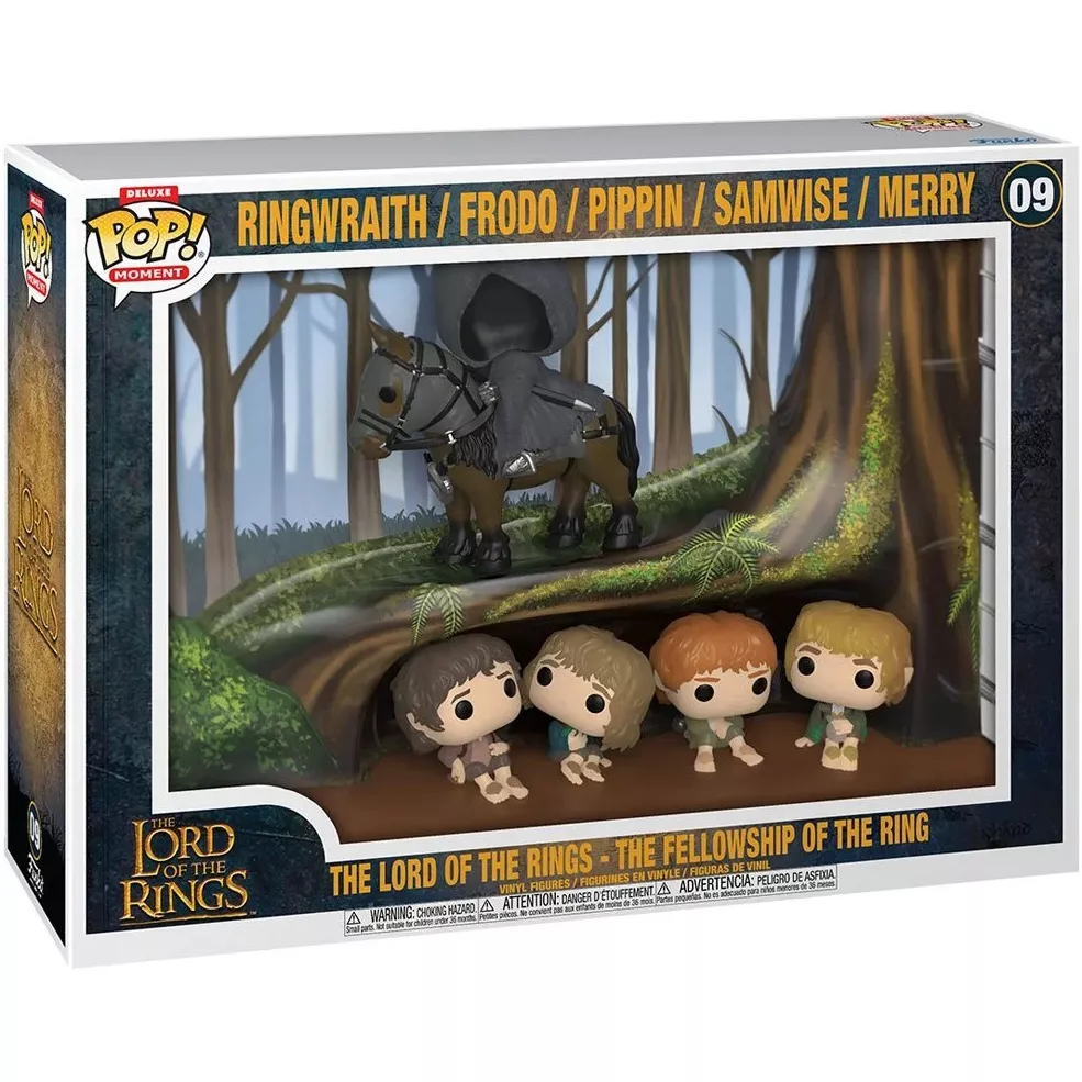 The Lord of the Rings - The Fellowship of the Ring Box