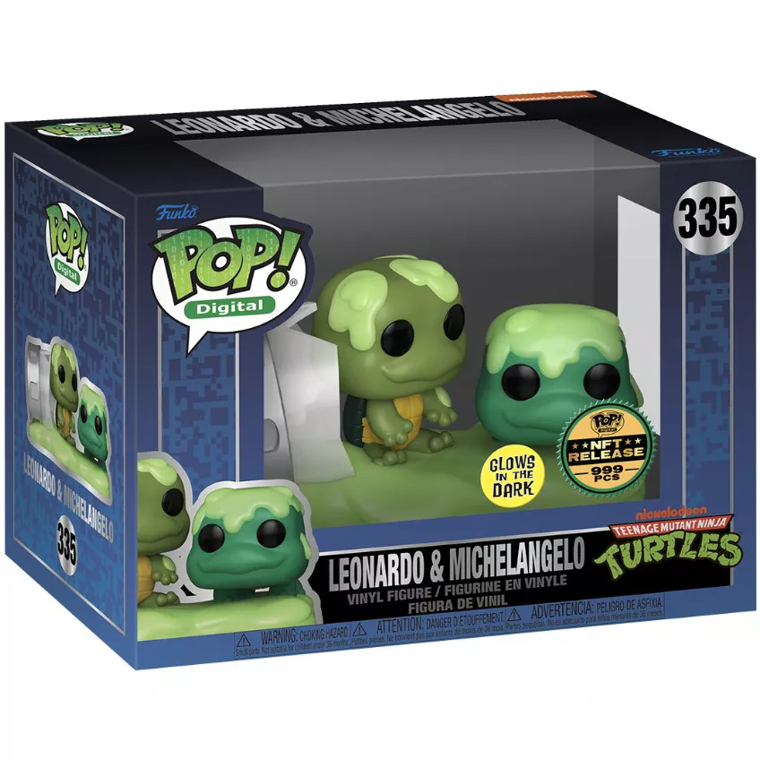 Leonardo & Michelangelo Box