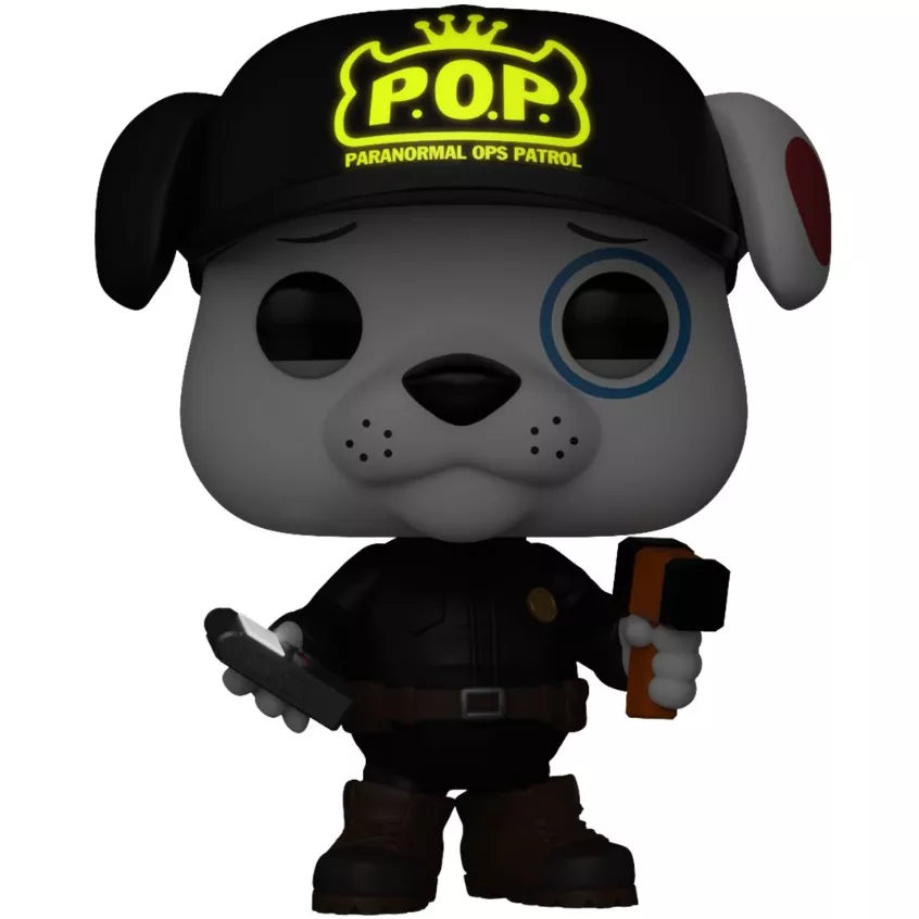 Proto as P.O.P.