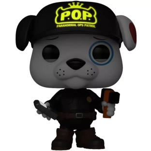 Proto as P.O.P.