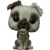 Pirates of the Caribbean Dog image