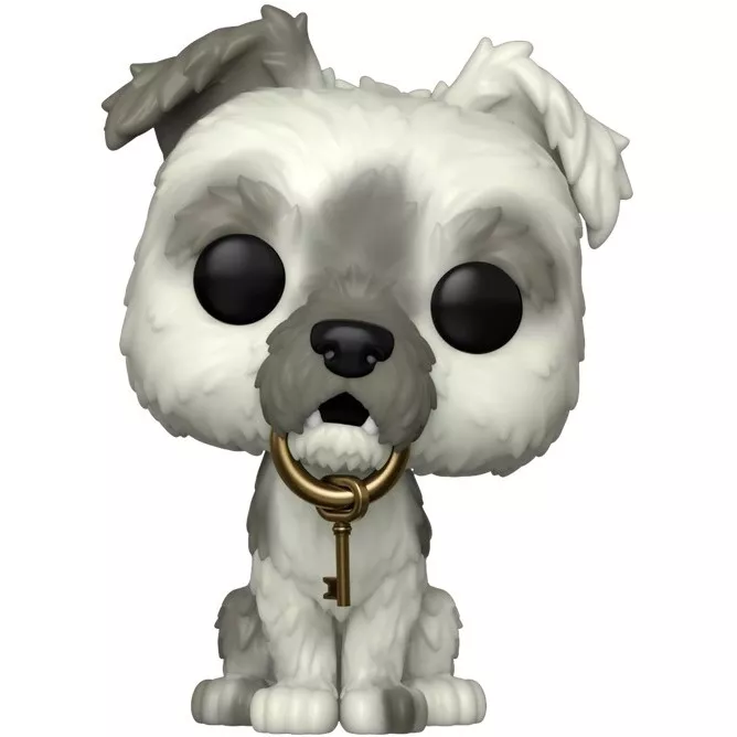 Pirates of the Caribbean Dog