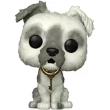 Pirates of the Caribbean Dog