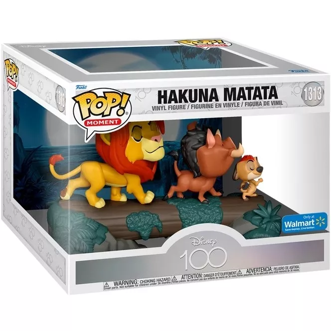 Hakuna Matata Box