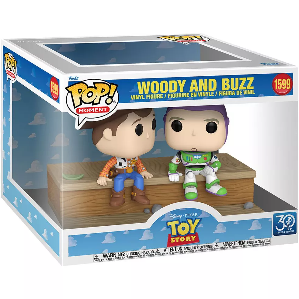 Woody and Buzz Box