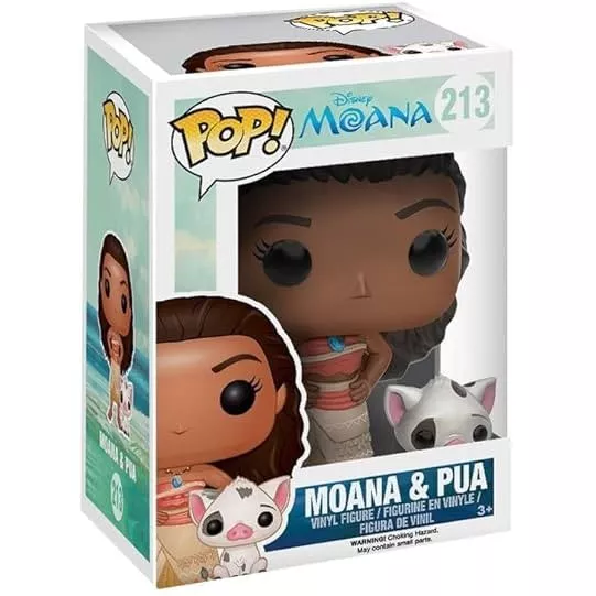 Moana and Pua Box