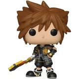 Sora (Guardian Form)