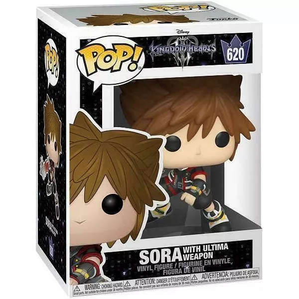 Sora with Ultima Weapon Box