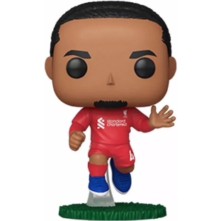 Virgil Van Dijk image
