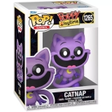 Box Image