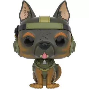 Riley image