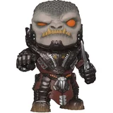 General RAAM image
