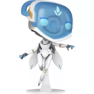 Echo image