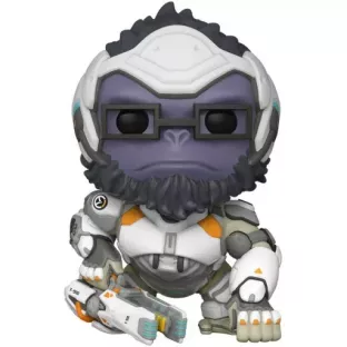 Winston image