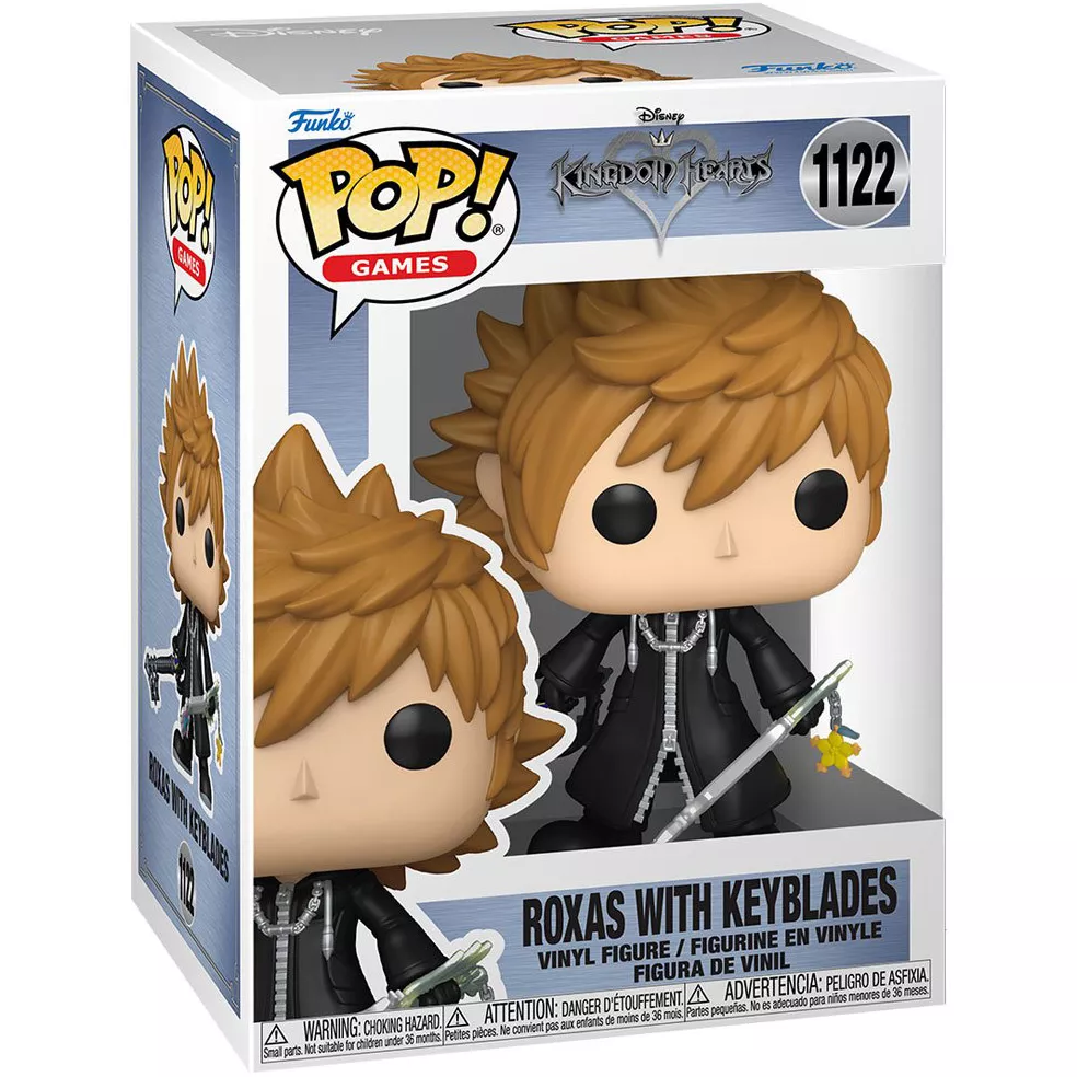 Roxas with Keyblades Box