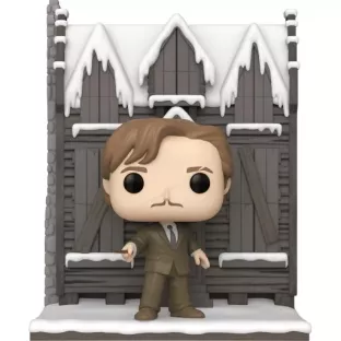 Remus Lupin with The Shrieking Shack image