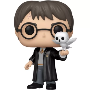 Harry Potter with Hedwig image