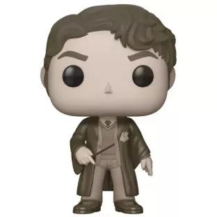 Tom Riddle image