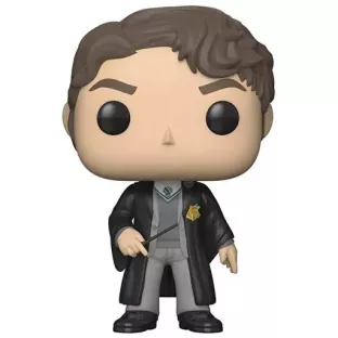 Tom Riddle image