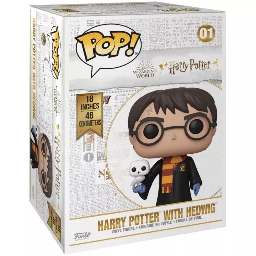 Harry Potter with Hedwig Box