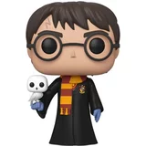 Harry Potter with Hedwig
