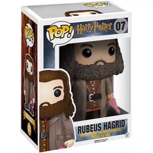 Rubeus Hagrid Box