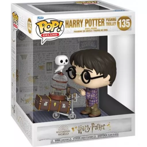 Harry Potter Pushing Trolley Box