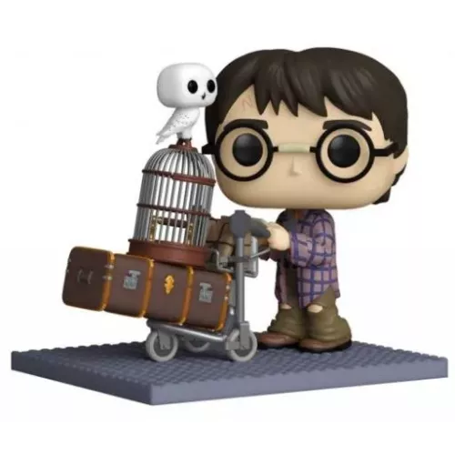 Harry Potter Pushing Trolley