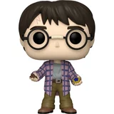 #137  Harry Potter - Collectible Figure