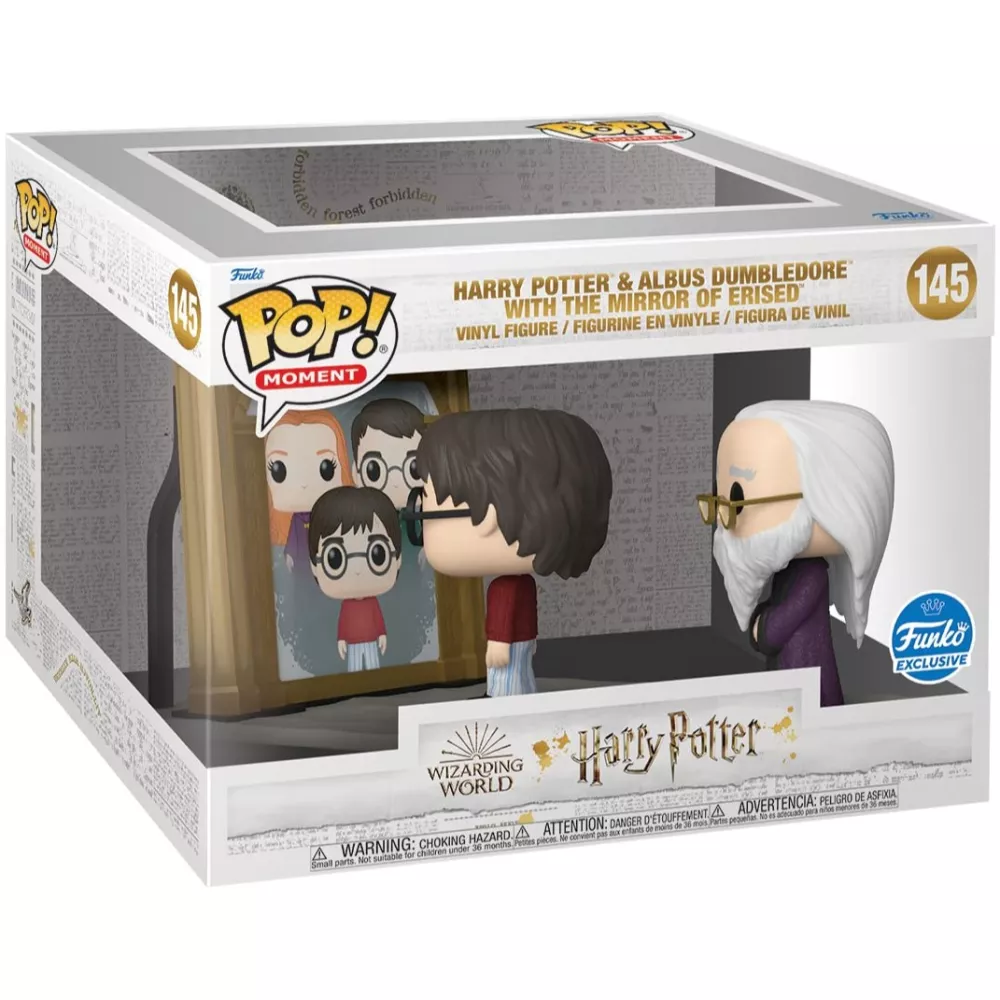 Harry Potter & Albus Dumbledore Box