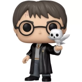 Harry Potter with Hedwig
