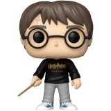 #198  Harry Potter - Collectible Figure