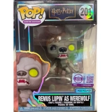 #201  Remus Lupin as Werewolf - Collectible Figure