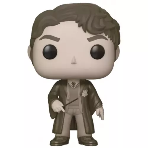 Funko Pop! Tom Riddle #60 Sepia Harry Potter Vinyl Figure