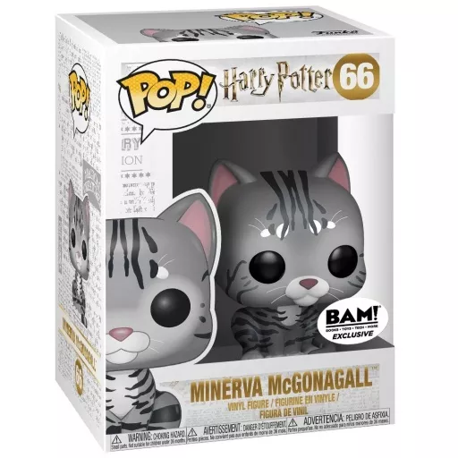 Minerva McGonagall Box