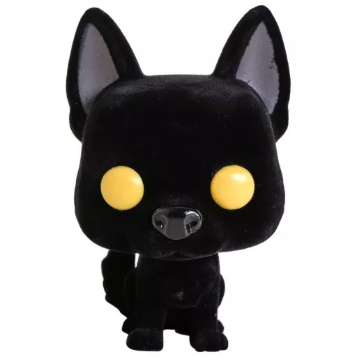 Sirius Black as Dog