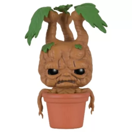 Mandrake