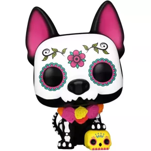Xolo image