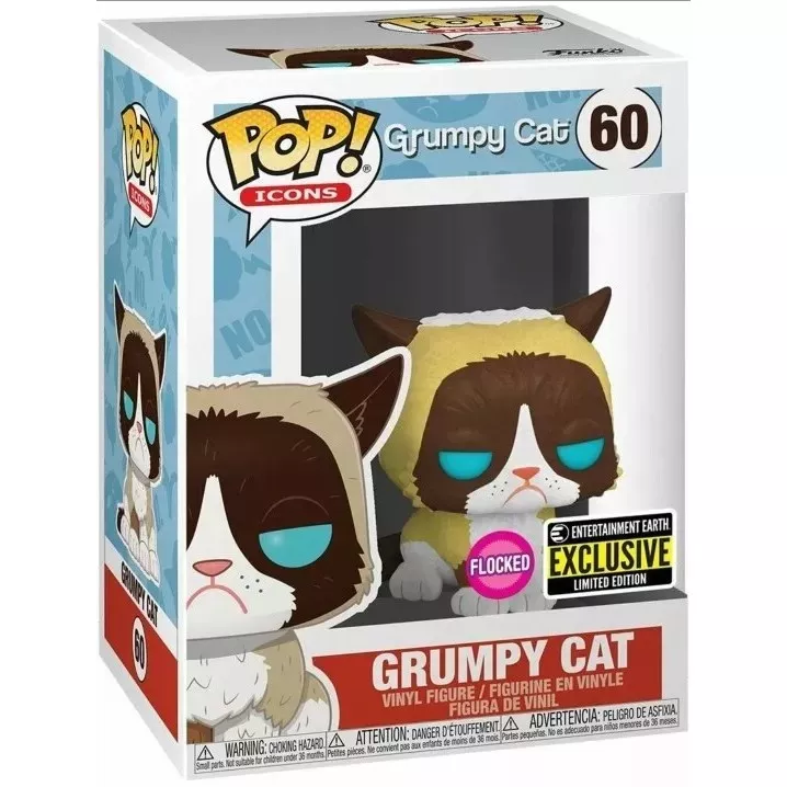 Grumpy Cat Box