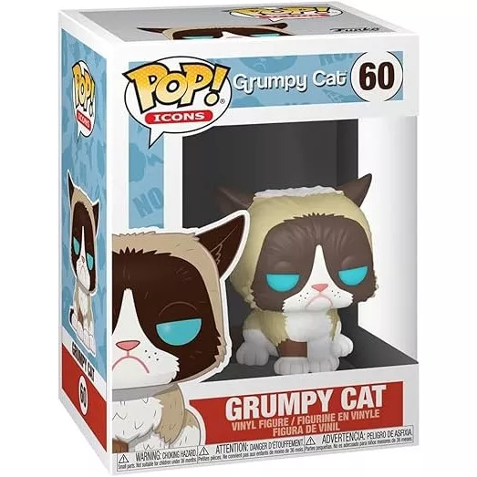 Grumpy Cat Box
