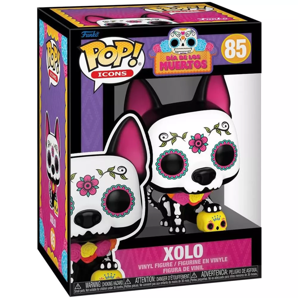 Xolo Box