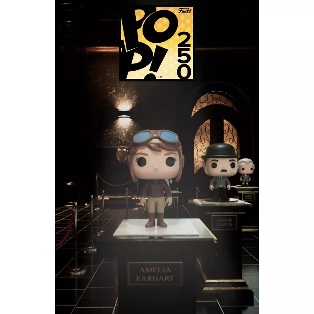 Amelia Earhart Box